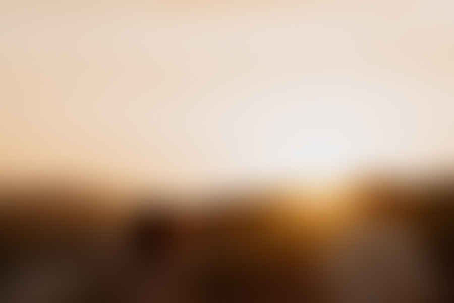 walking meditation image