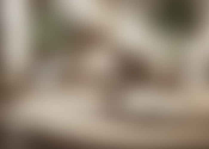 Creating Harmony: Designing a Meditation Space with Feng Shui Principles