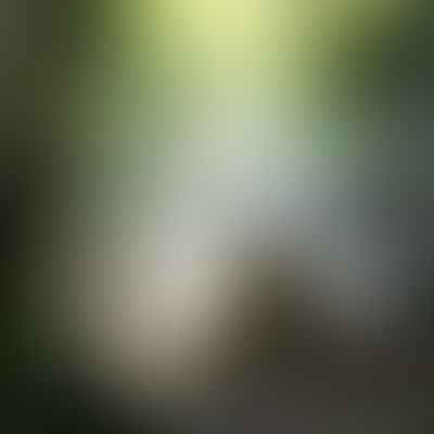 Soothing Your Senses: Exploring the Role of Sounds in Meditation
