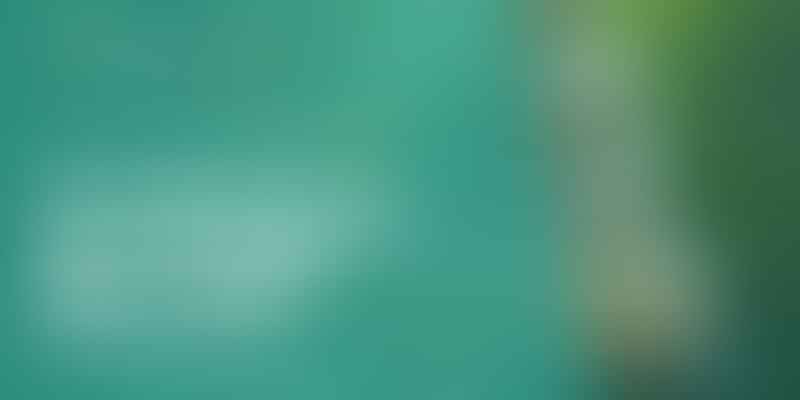 Zen Meditation: Best English Resources - Unlock Inner Peace 💡